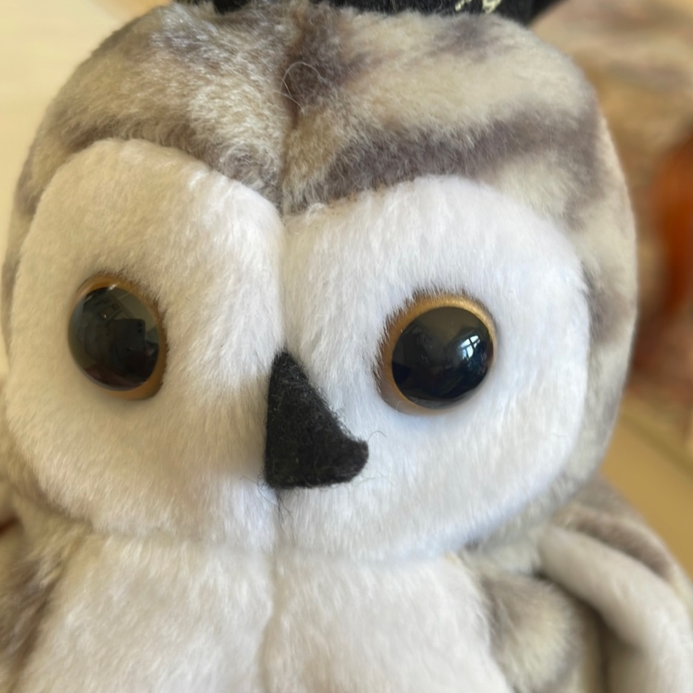 Ty beanie baby Wiser the owl class of 99 - Picture 9 of 9